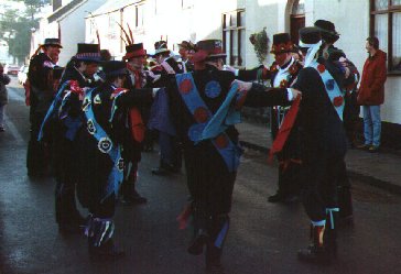 Hinckley Bullockers