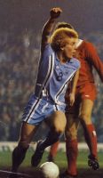 Ian Wallace
